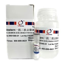 Western一抗二抗去除液（中性，劇烈型）