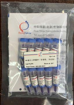 4×蛋白上樣緩沖（非變性，非還原）