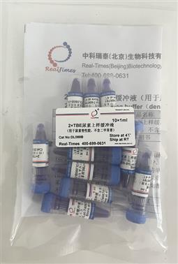 2×TBE尿素上樣緩沖液（用于尿素變性膠，不含二甲苯菁）