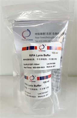 RIPA裂解液(強，不含抑制劑，不含螯合劑)